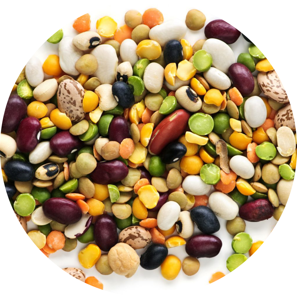 Pulses and Beans