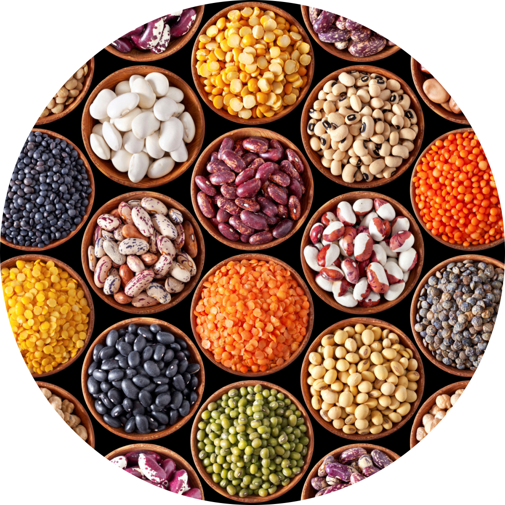 Pulses and Beans